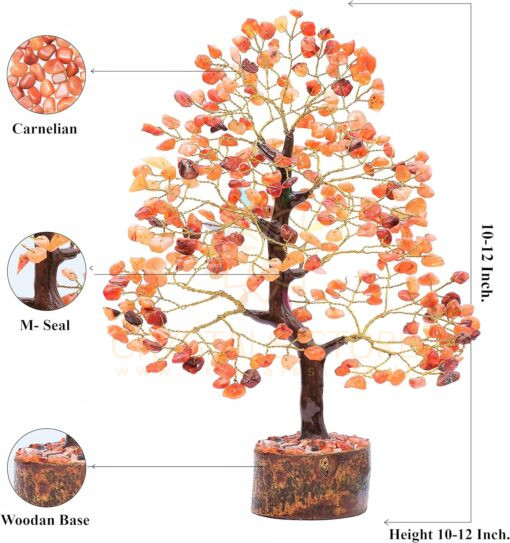 Red Carnelian Tree