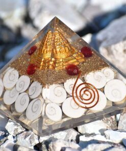 Gomti Chakra Orgone Pyramid