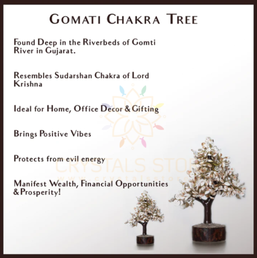 Gomati Chakra With Rudraksham Tree